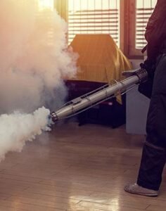 Bed Bug Prevention And Monitoring