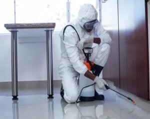 Bed Bug Prevention And Monitoring