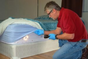 Bed Bug Inspection