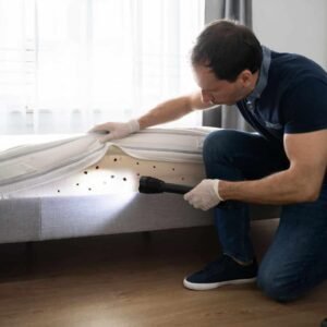Bed Bug Heat Treatment Leeds