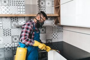 Follow-Up Bed Bug Inspection
