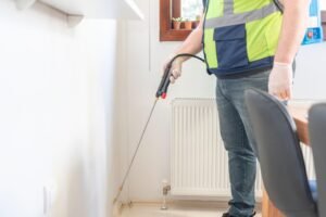 Follow-Up Bed Bug Inspection