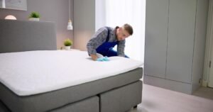 Bed Bug Heat Treatment Manchester