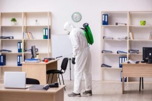 Bed Bug Heat Treatment Bradford