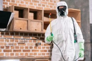 Bed Bug Heat Treatment Bradford