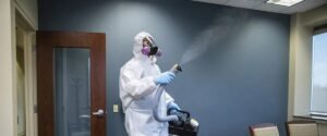 Bed Bug Heat Treatment York