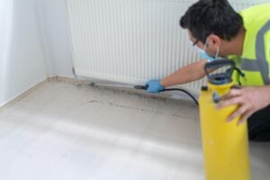 Emergency Bed Bug Heat Treatment