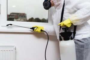 Emergency Bed Bug Heat Treatment