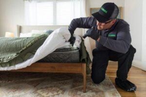 Hotel And Hospitality Bed Bug Treatment