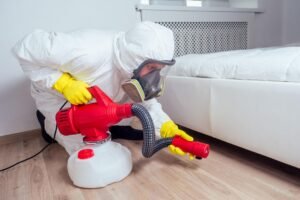 Bed Bug Heat Treatment Sheffield