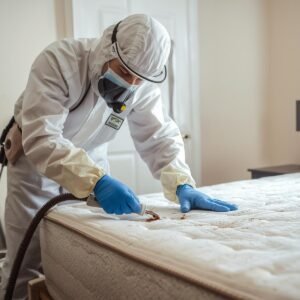 Bed Bug Heat Treatment Sheffield