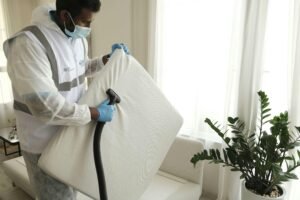 Landlord And Letting Agent Bed Bug Services